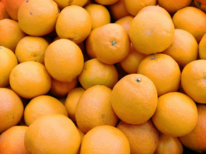 Couvreur urgence Orange